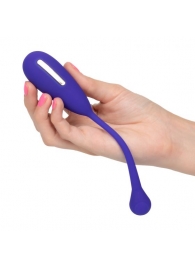 Фиолетовый шарик с электростимуляцией и вибрацией Intimate E-Stimulator Remote Kegel Exerciser - California Exotic Novelties - купить с доставкой в Курске