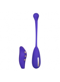 Фиолетовый шарик с электростимуляцией и вибрацией Intimate E-Stimulator Remote Kegel Exerciser - California Exotic Novelties - купить с доставкой в Курске