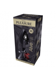 Серебристая анальная втулка Mini Metal Butt Plug Size M с красным кристаллом - Adrien Lastic в Курске Серебристая анальная втулка Mini Metal Butt Plug Size M с красным кристаллом - Adrien Lastic