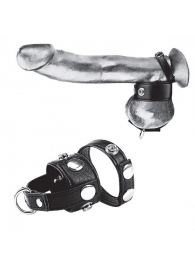 Утяжка для мошонки и пениса Cock Ring With 1  Ball Stretcher And Optional Weight Ring - BlueLine - купить с доставкой в Курске