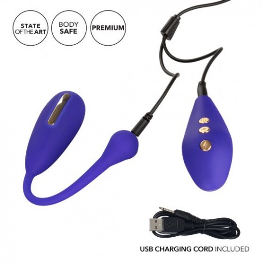 Фиолетовый шарик с электростимуляцией и вибрацией Intimate E-Stimulator Remote Kegel Exerciser - California Exotic Novelties - купить с доставкой в Курске