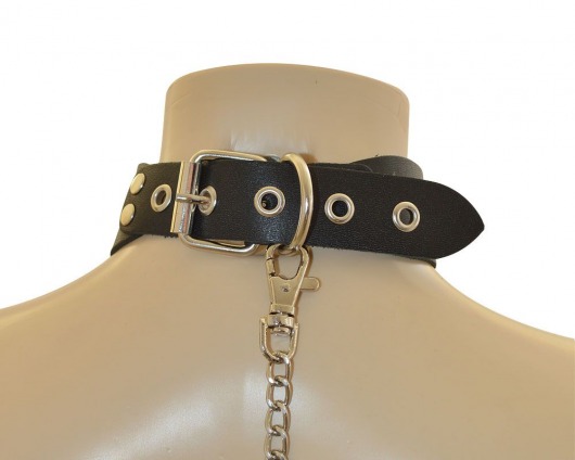 Ошейник  Веселый Роджер - Sitabella - купить с доставкой в Курске