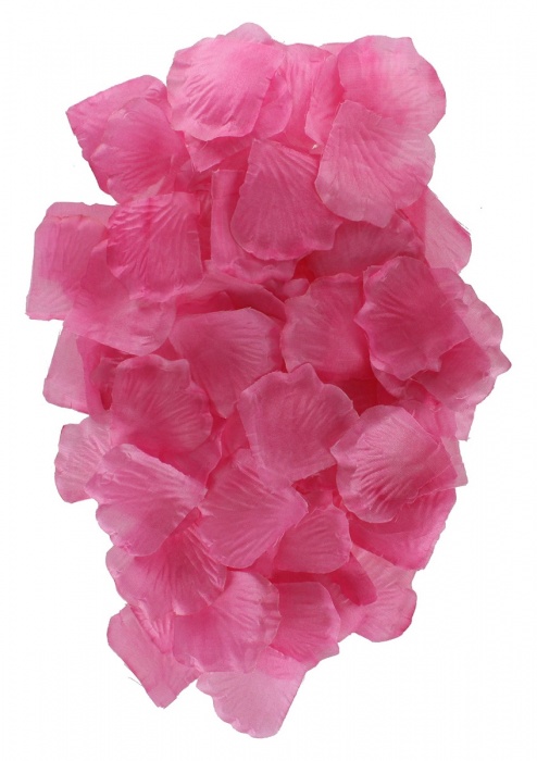 Эротический набор FANTASTIC PURPLE SEX TOY KIT - Toy Joy - купить с доставкой в Курске