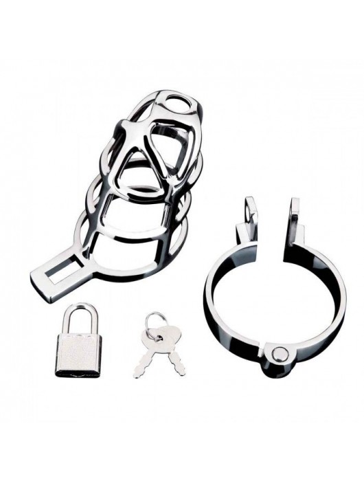 Серебристая металлическая клетка для члена с замком Enslave Cock Cage - BlueLine - купить с доставкой в Курске
