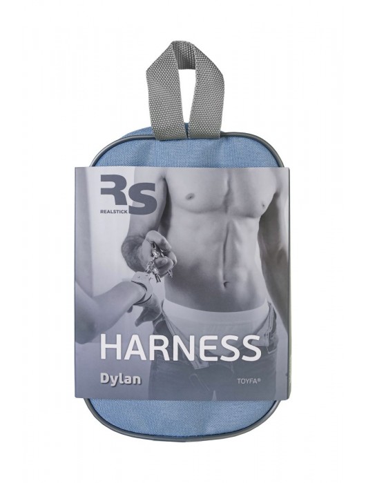 Трусики для страпона Dylan с 2 способами крепления насадки - ToyFa - купить с доставкой в Курске