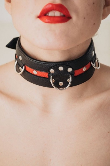 Черно-красный ошейник на пряжке - БДСМ Арсенал - купить с доставкой в Курске
