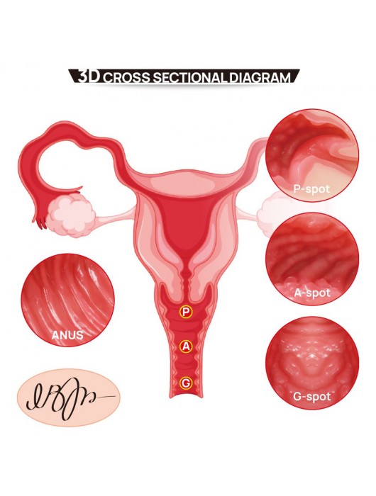 Мастурбатор-полуторс с двойным слоем материала Vanilla Onahole Real Vagina - KOKOS - в Курске купить с доставкой