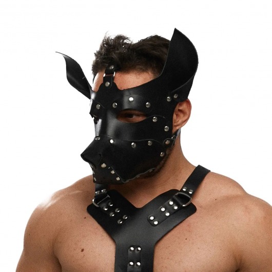 Черная кожаная маска «Собака» - Crazy Handmade - купить с доставкой в Курске Черная кожаная маска «Собака» - Crazy Handmade - купить с доставкой в Курске