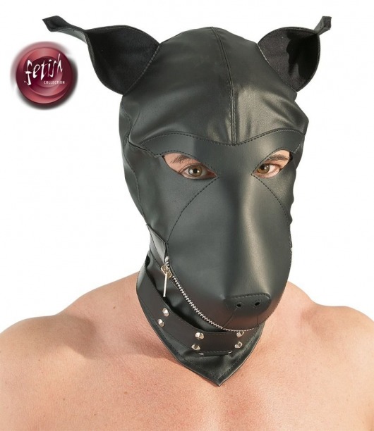 Шлем-маска Dog Mask в виде морды собаки - Orion - купить с доставкой в Курске