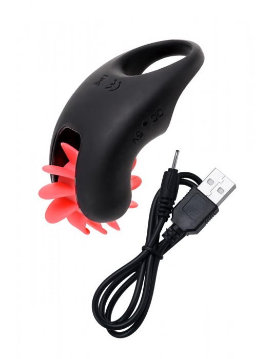 Чёрно-красное эрекционное виброкольцо Erotist - Erotist Adult Toys - в Курске купить с доставкой