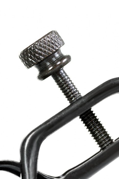 Черно-золотистые зажимы для сосков TOYFA Theatre - ToyFa - купить с доставкой в Курске